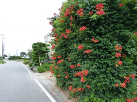 画像22